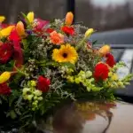 servicii-funerare-cluj-napoca