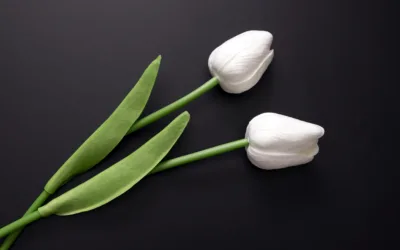 Personalizarea coroanelor și aranjamentelor florale în memoria celor dragi