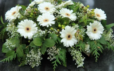 Sprijin real în cele mai grele momente